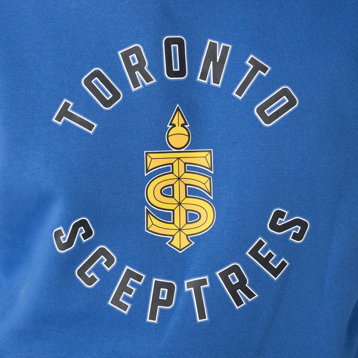 Bauer Team Ultimate PWHL Senior Hoodie - Image 2