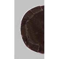 Blade Armor Toe Tip Stick Blade Protector - Image 3