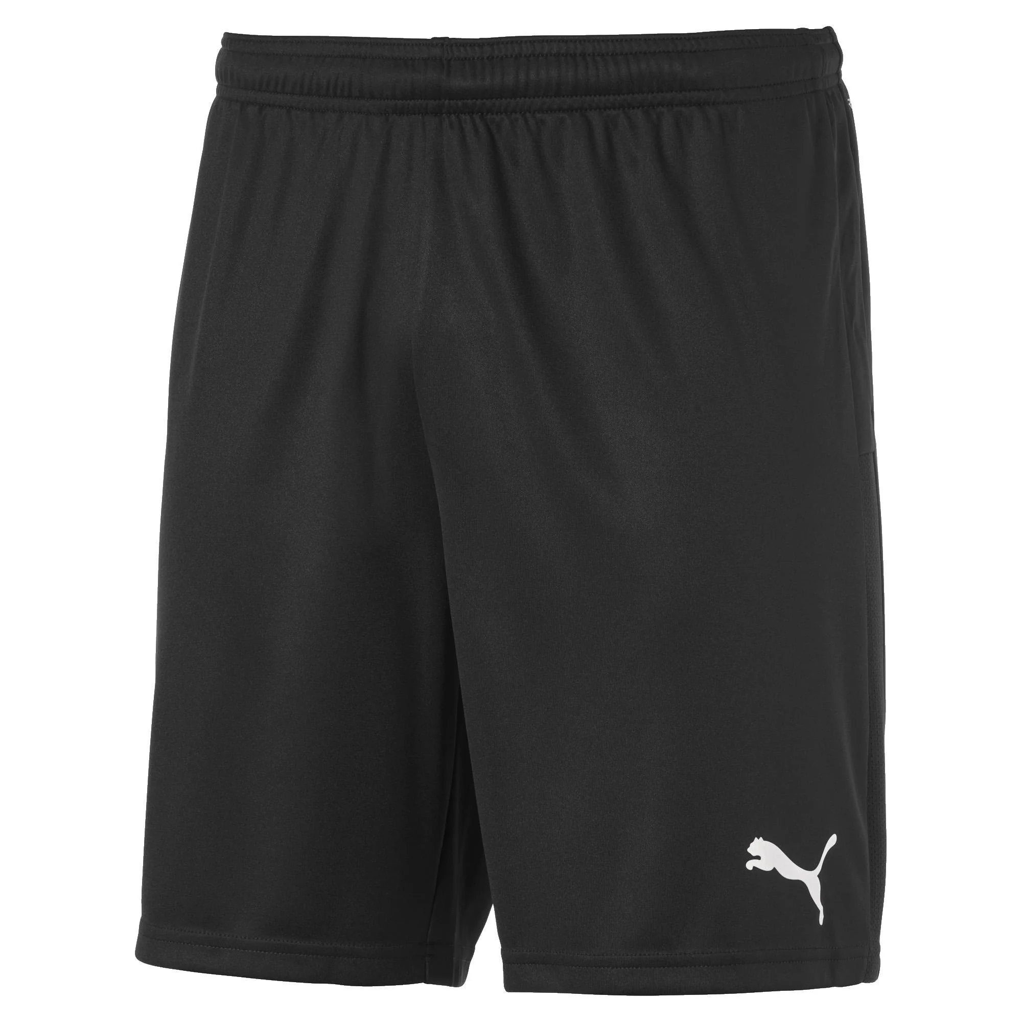 Puma Team Goal 23 Men's Knit Shorts